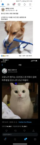 코로나시기 의문의 피해자와 수혜자