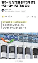 한국서 한달 일한 중국인 평생 연금, 추납 꼼수