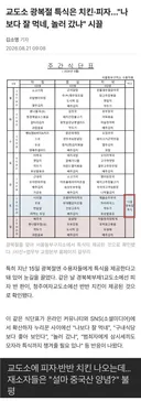 놀러 갔냐? 피자에 치킨... 광복절 특식 논란