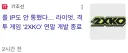 라이엇 격겜 개발 중단하네