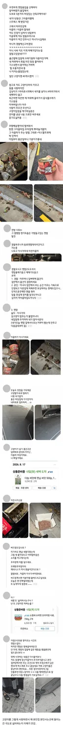 캣맘과 정면승부 펼친 사람
