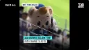 마스코트 머리 세게 밀친 관중.jpg