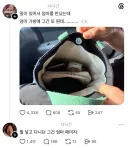 스레드 엄마 가방에 매미가 나왔을 때 하는 말