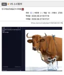 Novel Ai 성능 소신발언