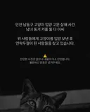 인천 남동구 동거커플에게 고양이 입양 보내신분들을 찾습니다