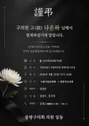 나은하 구의원 별세