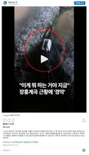 개소름끼치는 계곡 근황