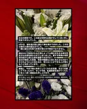 싸불당해 돌아가신 엔하이픈 일본 인플루언서 팬 어머니가 쓴글