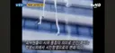 민주화 운동&독립 운동 때 태어났다면(그 시대 사람이었다면) 나는 어디까지 할 수 있을지 말해 보는 글