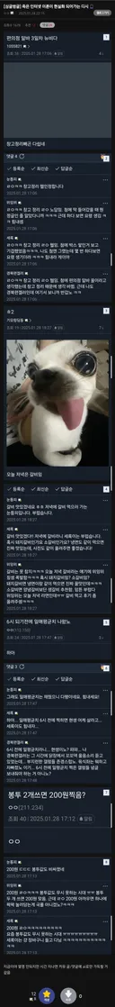 죽은 인터넷 이론이 현실화 되는중인 사이트