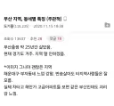 부산 25년산 동네별 느낌.jpe