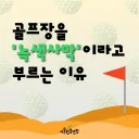 골프장 물 사용량 베스트 간김에 보는 '농약으로 물든 녹색 사막'