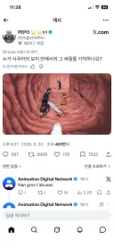 사쿠라 ㅂㅈ안에서의 싸움