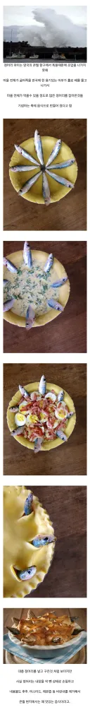괴식으로 유명한 영국 정어리 파이의 속.jpg