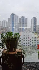 용산..청년주택 아파트..