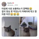 아침에 사료 보충하는걸 깜빡한 집사님