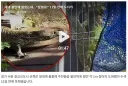 수원 광교산 .... 11일 만에 드디어 잡힌 왕도마뱀