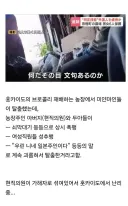 현직 의원이 외국인 노동자들을 폭행해서 난리가 났다는 일본