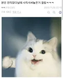 사직서 써놨다가 걸린 디씨인