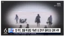 갯벌에 빠진 말'…긴박했던 40분 끝 '무사히 구조'