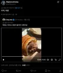 미국인 : "맛있는 아이스크림이 들어간 크루아상"