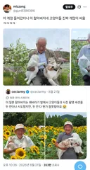 이 할아버지네 고양이들 진짜 개많이 싸움ㅋㅋㅋㅋ