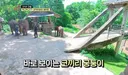 온에어 난리난 만족도 최상인 치앙마이 코끼리 호텔