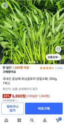 아 ㅡ지금 땡기는..간짜장 모닝글로리..