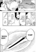 블리치) 안본 사람들 자주 착각하는거