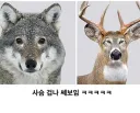 눈매의 중요성
