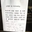 분노한 캣맘 jpg.