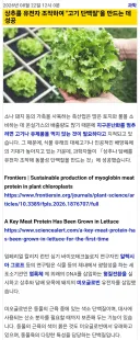 유전자 조작으로 상추에 동물성 단백질을 넣는데 성공.