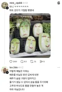 마트에서 본 신기한 배추 비닐랩 포장.jpg