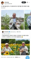 이 할아버지네 고양이들 진짜 개많이 싸움
