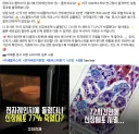 전자렌지의 위험성