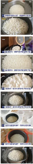 뭔가 소름돋는 동남아 장립종 쌀.jpg