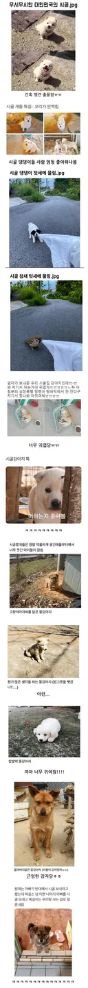 무시무시한 대한민국의 시골