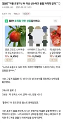 약물 도핑을 혐오하는 스포츠물 웹소설 특징 .jpg