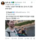 미국인: 하하 차이니즈 칭챙총 너희들은 개를 먹지