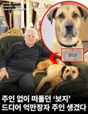 주인없이 떠돌던 "보지" 드디어 주인 생김.