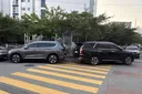 경주에서 발견된 신종 러브버그
