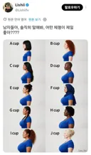 본인 취향의 가슴 크기는?