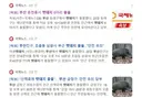 요즘 부산 멧돼지 자주 출몰하네요 오늘은 무려 6마리