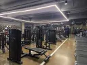 헬스 유투버는 한계가 뚜렷하긴 하지.