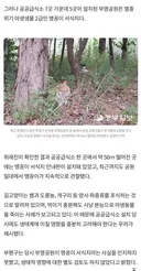 취재가 시작되자..