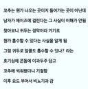 어느 호기심 많은 모솔남