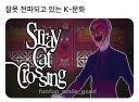 일본의 닌자 급으로 유명해진 k 문화