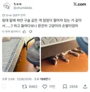 침대 밑에 하얀 구슬 같은 게 떨어져 있어서 뭐지 싶었는데