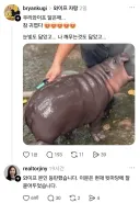 아내 도발하는 남편들