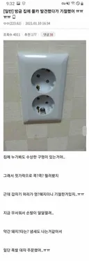 방금 집에 몰카 발견했다가 기절했어